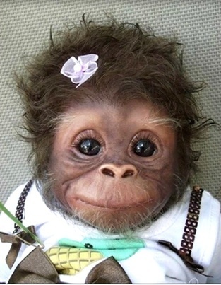 動物画像 猿の赤ちゃん 可愛い 爆笑 衝撃 超面白画像まとめ 奇跡 感動 日本最大級の面白 おもしろ 画像紹介サイト リツイート シェア いいね 大歓迎