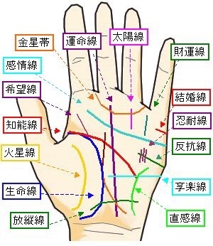 占い画像 手相占い画像 参考 爆笑 衝撃 超面白動画 画像まとめ 奇跡 感動 日本最大級の面白 おもしろ 画像紹介サイト リツイート シェア いいね 大歓迎