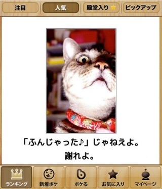 面白画像 猫踏んじゃった 爆笑 爆笑 衝撃 超面白動画 画像まとめ 奇跡 感動 日本最大級の面白 おもしろ 画像紹介サイト リツイート シェア いいね 大歓迎