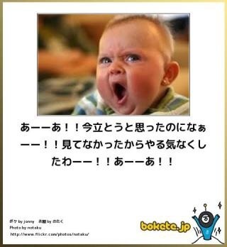 面白画像 キレる赤ちゃん 爆笑 爆笑 衝撃 超面白画像まとめ 奇跡 感動 日本最大級の面白 おもしろ 画像 紹介サイト リツイート シェア いいね 大歓迎